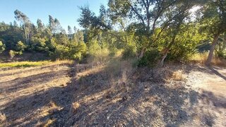 Terreno para venda em Sertã, Portugal — 19 500 €