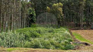 Land for sale in Santa Maria da Feira, Portugal — €45,000