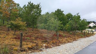 Terreno para venda em Vila Nova de Paiva, Portugal — 23 900 €