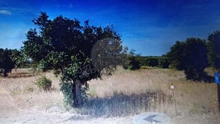 Land for sale in Torres Novas, Portugal — €28,000