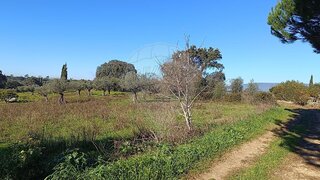 Land for sale in Torres Novas, Portugal — €11,250
