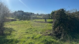 Land for sale in Tondela, Portugal — €15,000