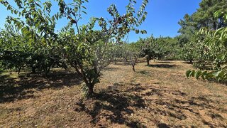 Land for sale in Fundão, Portugal — €25,000