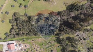 Land for sale in Tomar, Portugal — €4,300