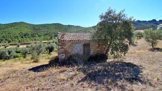 Terreno para venda em Proença-a-Nova, Portugal — 39 000 €