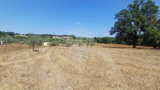 Terreno em Santa Comba Dão