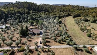 Land for sale in Mealhada, Portugal — €18,500