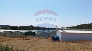 Land for sale in Alvaiázere, Portugal — €340,000