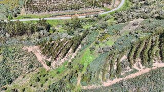 Terreno em Odemira