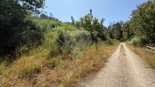 Land for sale in São Pedro do Sul, Portugal — €24,900