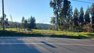 Land for sale in Alvaiázere, Portugal — €29,000