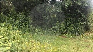 Land for sale in Amares, Portugal — €34,900