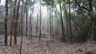 Terreno de 10 702 m² em Viana do Castelo