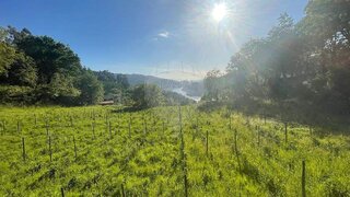 Land for sale in Vieira do Minho, Portugal — €220,000