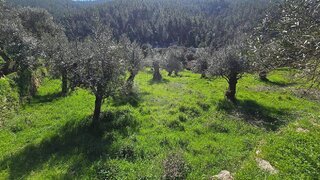 Land for sale in Fundão, Portugal — €56,500