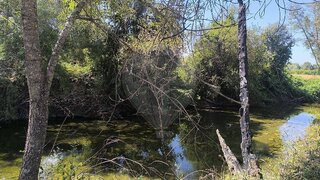 Land for sale in Covilhã, Portugal — €8,500