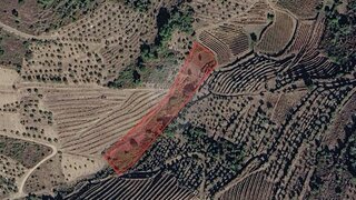 Terreno para venda em São João da Pesqueira, Portugal — 100 000 €