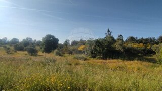 Land for sale in Penamacor, Portugal — €14,200