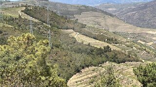 Land for sale in Armamar, Portugal — €25,000