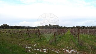 Land for sale in Cartaxo, Portugal — €325,000