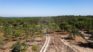 Land for sale in Montemor-o-Novo, Portugal — €95,000