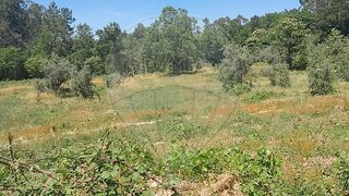 Terreno para venda em Tondela, Portugal — 50 000 €
