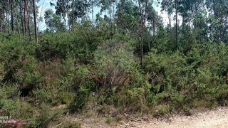 Land for sale in Albergaria-a-Velha, Portugal — €9,500