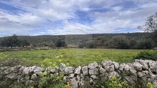 Land for sale in Porto de Mós, Portugal — €25,000