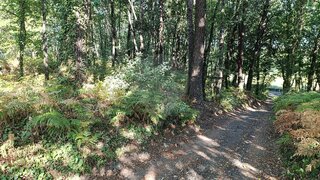 Terreno para venda em São Pedro do Sul, Portugal — 45 000 €