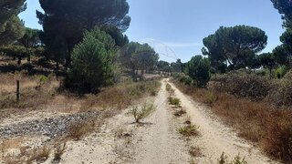 Land for sale in Benavente, Portugal — €376,000