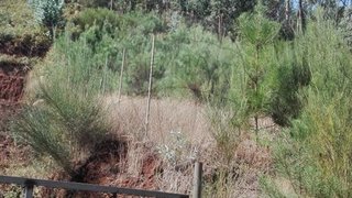 Land for sale in Santa Cruz, Portugal — €35,000