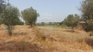Land for sale in Abrantes, Portugal — €3,850