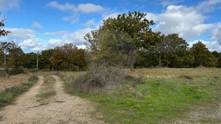 Terreno em Vinhais