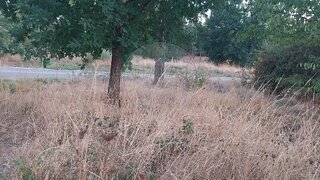 Terreno para venda em Oleiros, Portugal — 75 000 €
