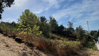 Land for sale in Marco de Canaveses, Portugal — €68,000