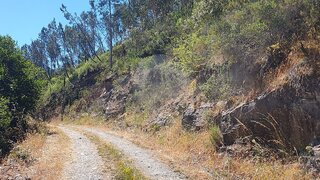Land for sale in Sertã, Portugal — €2,000