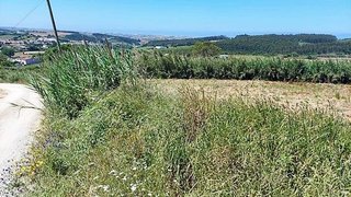 Land for sale in Lourinhã, Portugal — €66,500