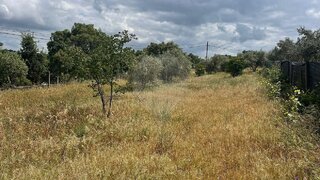 Land for sale in Ponte de Sor, Portugal — €60,000
