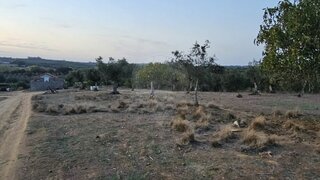 Land for sale in Abrantes, Portugal — €50,000