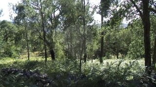 Terreno de 121 750 m² em Portalegre