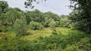 Land for sale in Pombal, Portugal — €30,000