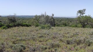 Land for sale in Silves, Portugal — €69,150