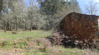 Land for sale in Penela, Portugal — €35,000