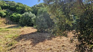 Land for sale in Alenquer, Portugal — €12,500