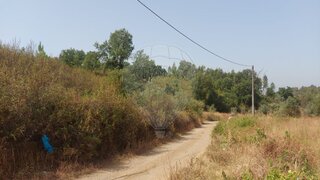 Land for sale in Abrantes, Portugal — €4,850