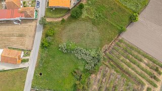 Terreno de 2520 m² em Anadia
