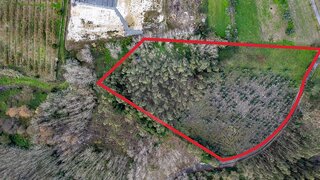 Land for sale in Cantanhede, Portugal — €5,340