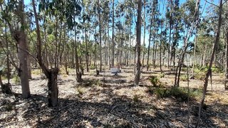 Land for sale in Pombal, Portugal — €26,500