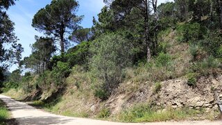 Land for sale in Baião, Portugal — €49,000