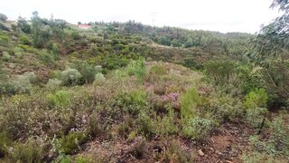 Land for sale in Vila Nova da Barquinha, Portugal — €15,000
